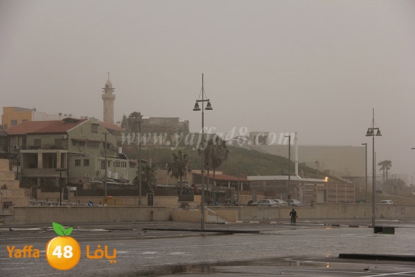 mina2 adrar jfe (7).jpg